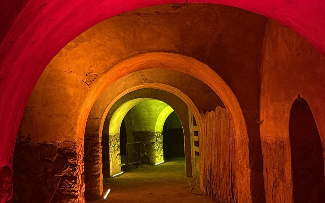 Le Fort de Feyzin brille grâce aux étudiants de l’IAE Lyon 3